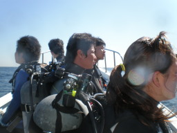 哇cA[