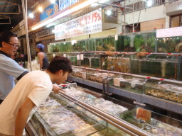 _CrO CZX(CJ[h)擾́APADI _CrOVbvXN[ DIVE CRAPS(_Cu NbvX)