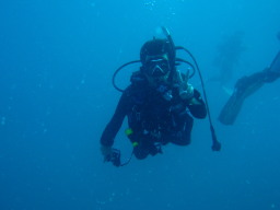 _CrO CZX(CJ[h)擾́APADI _CrOVbvXN[ DIVE CRAPS(_Cu NbvX)