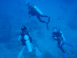 _CrO CZX(CJ[h)擾́APADI _CrOVbvXN[ DIVE CRAPS(_Cu NbvX)
