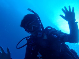 _CrO CZX(CJ[h)擾́APADI _CrOVbvXN[ DIVE CRAPS(_Cu NbvX)