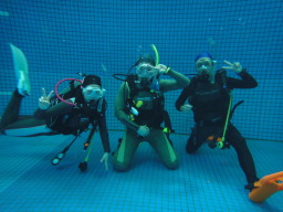 PADI XL[CZX擾R[XI