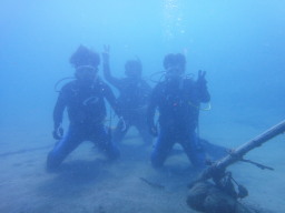 10/03/10 AOWcA[
