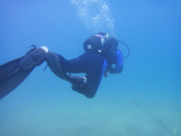 10/03/10 AOWcA[