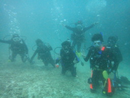 JpCI