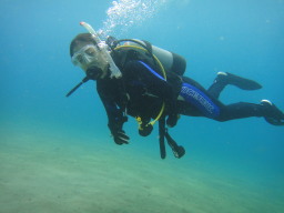 OWDI