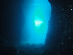 eۃcA[2011