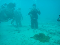 eۃcA[2011