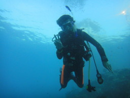JpC