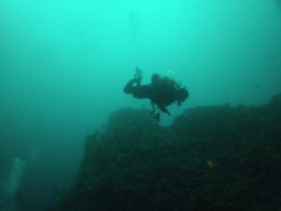 tg