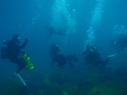 ōI
