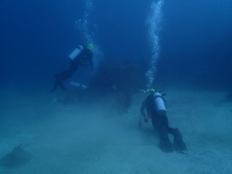 iI