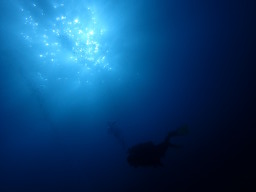 ōI
