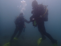 IDCI