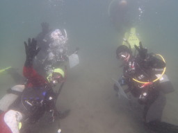 IDCI