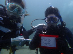 OWDFI