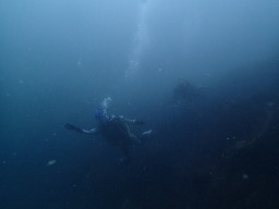 iI