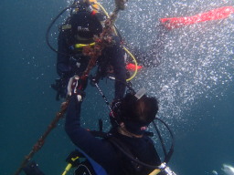 水深20m!