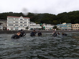 大瀬崎!