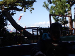 見えにくいですが、富士山!