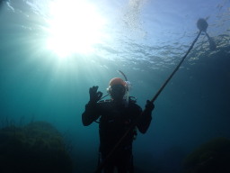 海況最高!