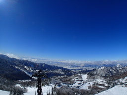 素晴らしい!