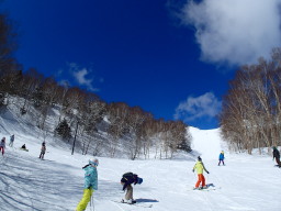素晴らしい天気!
