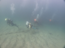 バッチリな中性浮力!
