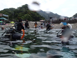 海水浴客もいっぱい!