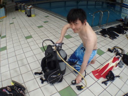 OWDプール