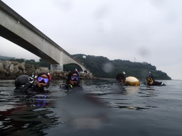 岩!