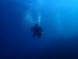井田ブルー!