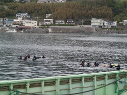 海洋から!
