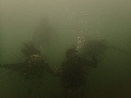 海況が・・・