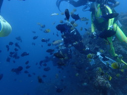 魚影に!